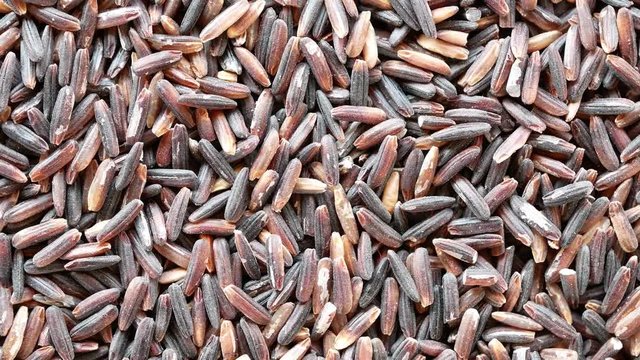 Rice Berry Is rice that still has paddy mixed in Which is rice with high nutritional value