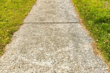 Obraz premium path and grass