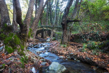 Bridge in Cyprus
