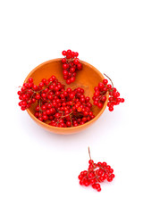 Ripe red viburnum berries in a plate on a white background