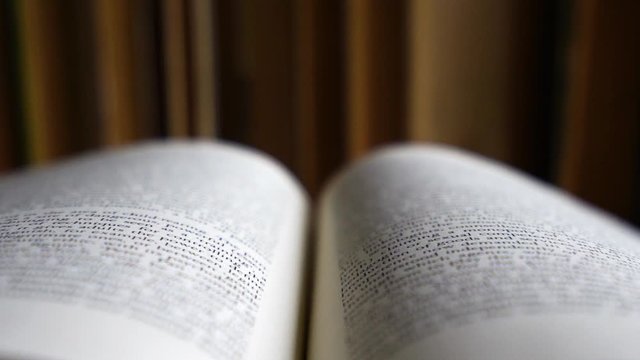 Education Book Macro Reading and Studying