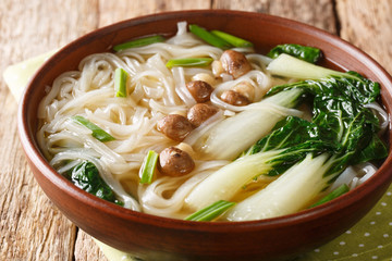 Chinese noodle soup with mushrooms, onions and bok choy closeup in a bowl on the table. horizontal