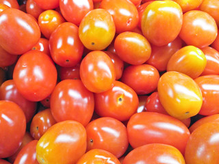 red tomatoes and some tomatoes that are not ripe yet