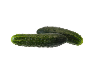 cucumber isolated on white background