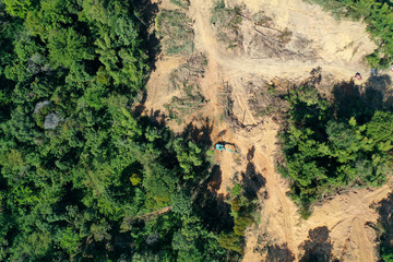 Deforestation. Logging of rainforest. Environmental destruction