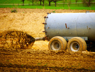 jauche wiese  Überdüngung mit Gülle  © Christine
