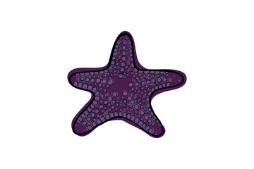 Obraz premium Violet starfish.
