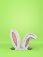 Easter greeting card with rabbit  in hole on green background