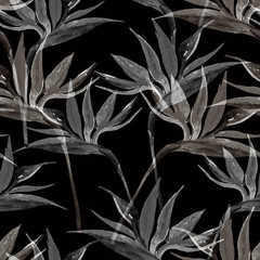Exotic flowers in monochrome colors, transparent on pastel background