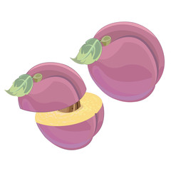 plum - Fruit Set - Series in the portfolio