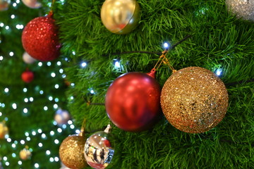 Obraz na płótnie Canvas luxury gold and red ball ornament decoration on green christmas tree