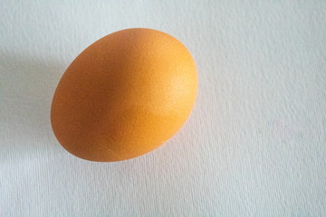 egg on white background