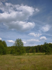 clouds over the river and meadow