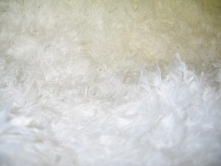 snowball - fluffy floor monochrome, macro photography