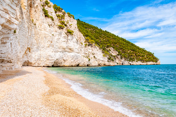 Beautiful pebble beach surrounded by high massive white limestone rocky cliffs eroded by Adriatic sea waves and wind. Green Aleppo pines growing on the rocks. Emerald water washing the coastline