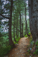 Mushkpuri Top, Nathiagali, Pakistan
