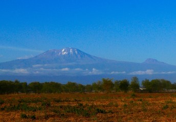 Fototapeta premium kilimanjaro 