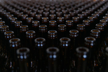 Many empty beer bottles rows