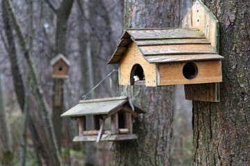 Bird feeders. House for the birds