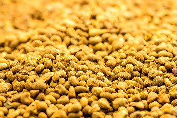 Abelmoschus moschatus semen in a closeup