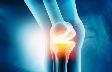 Anatomy of knee joint on medical background. 3d illustration - obrazy, fototapety, plakaty