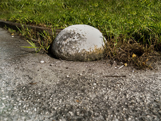 Fototapeta na wymiar White Concrete Paver Half Dome Ball Near The Grass