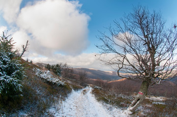 beautiful panorama of winter mountains in sunny weather