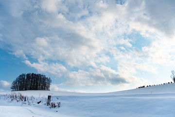冬のマイルドセブンの丘