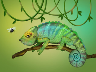 illustration of chameleon and flies