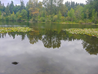 Lake Boren Park