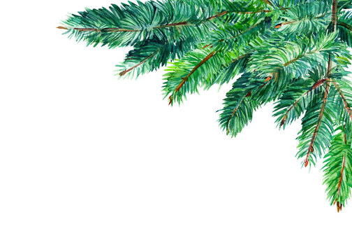 fir branches, watercolor illustration, hand-drawing, christmas tree, decoration, greeting card with place for text