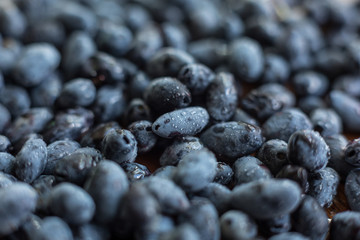 Sweet lonicera berry. Honeysuckle close-up. Selective focus. Healthy food.