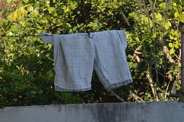 Flowers pass through jeans.