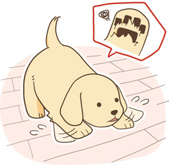 ゴールデンレトリバーの子犬（足の毛が伸びて滑る）