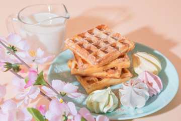 Sweet delicious dessert, homemade baked goods for breakfast. Belgian soft waffles on a blue plate with fresh milk and meringues on a peach-colored background in pastel tone