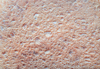 Close-up texture of brown whole wheat bread background abstract pattern. Detail texture of pattern with free space copy for text.