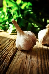 Garlic on a wooden background. The beneficial properties of garlic.