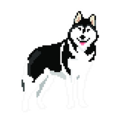 vector pixel art Siberian Husky dog isolated on white background, black and white dog.