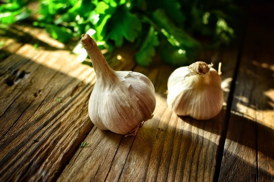 Garlic on a wooden background. The beneficial properties of garlic.