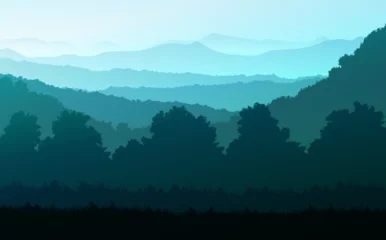 Foto op Canvas Natural forest Jungle horizon trees Landscape wallpaper Sunrise and sunset  Illustration vector style Colorful view background © Chakkree