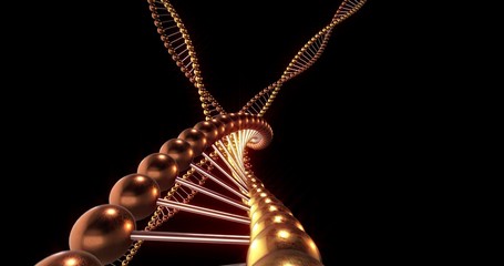 Srls of DNA molecules on black background . 3D Rendering
