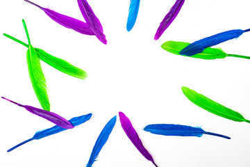 Colorful pattern made of feathers on white background, isolated.