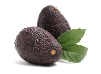 Avocado on a white background