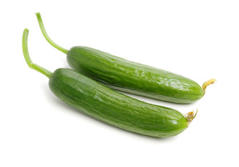 Lebanese Cucumber isolated on white background
