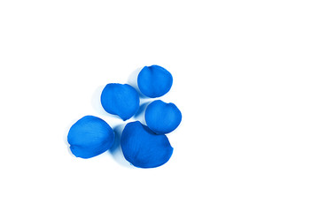 Blue rose petals pattern on white background, isolated. Flat lay, top view, copy space.