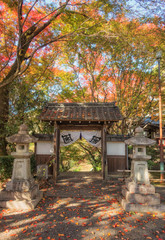 京都、松ヶ崎大黒天（妙円寺）の門と境内の美しい紅葉の風景です