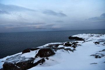 natural species on a winter polar night in the Russian Arctic