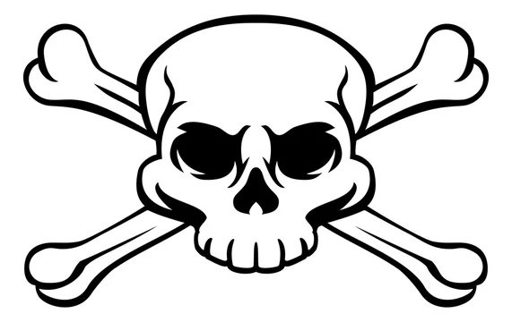 Pirate Jolly Roger Skull and Crossbones Poison Warning 5'x3' Flag ! 
