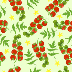 Seamless tomato pattern. Vegetable print. Vector graphics.