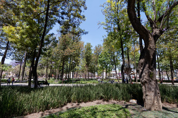 Park Alameda Central w Ciudad de Mexico